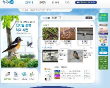 한국의새